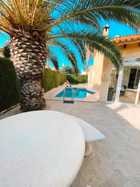 Villa con piscina y palmera